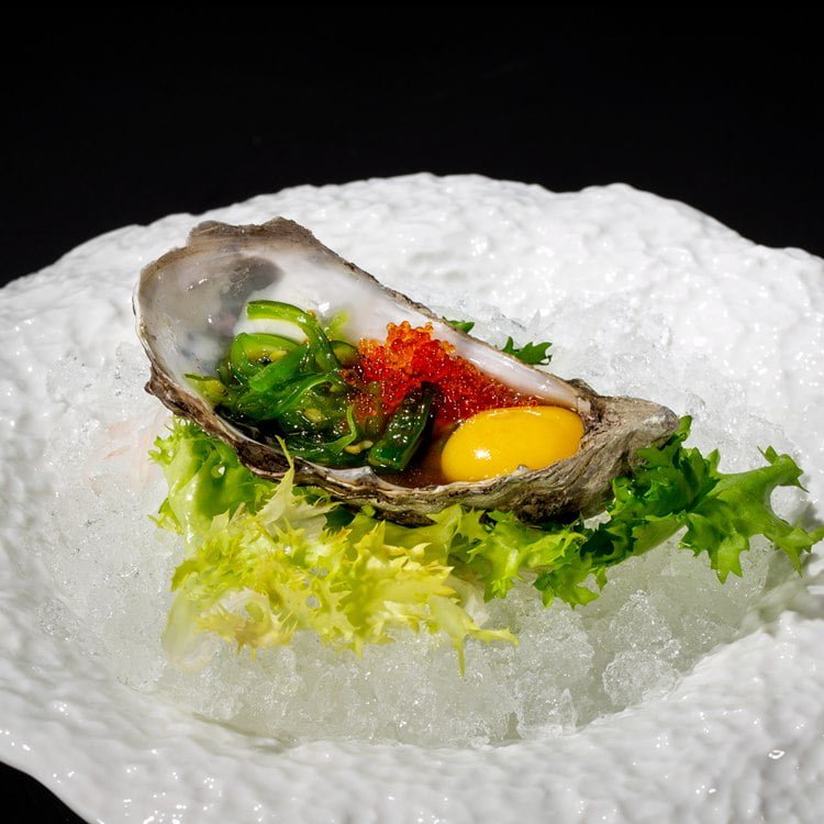 CA9- KAKI NIPPON TOUCH